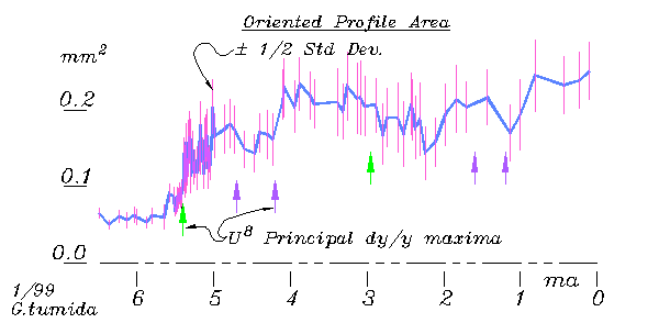 1) Plankton Size and Std. Variation.