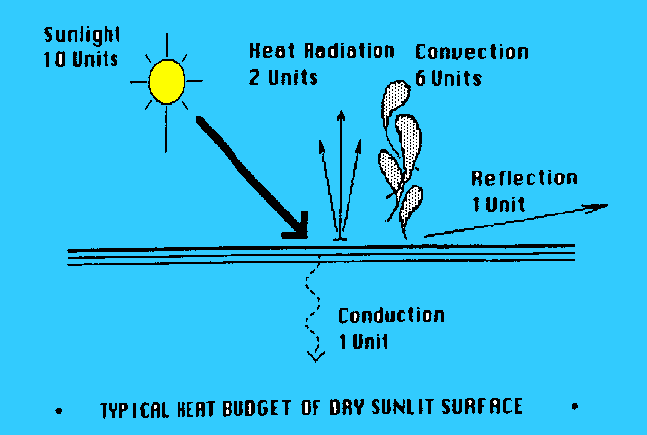 The basic energy flow