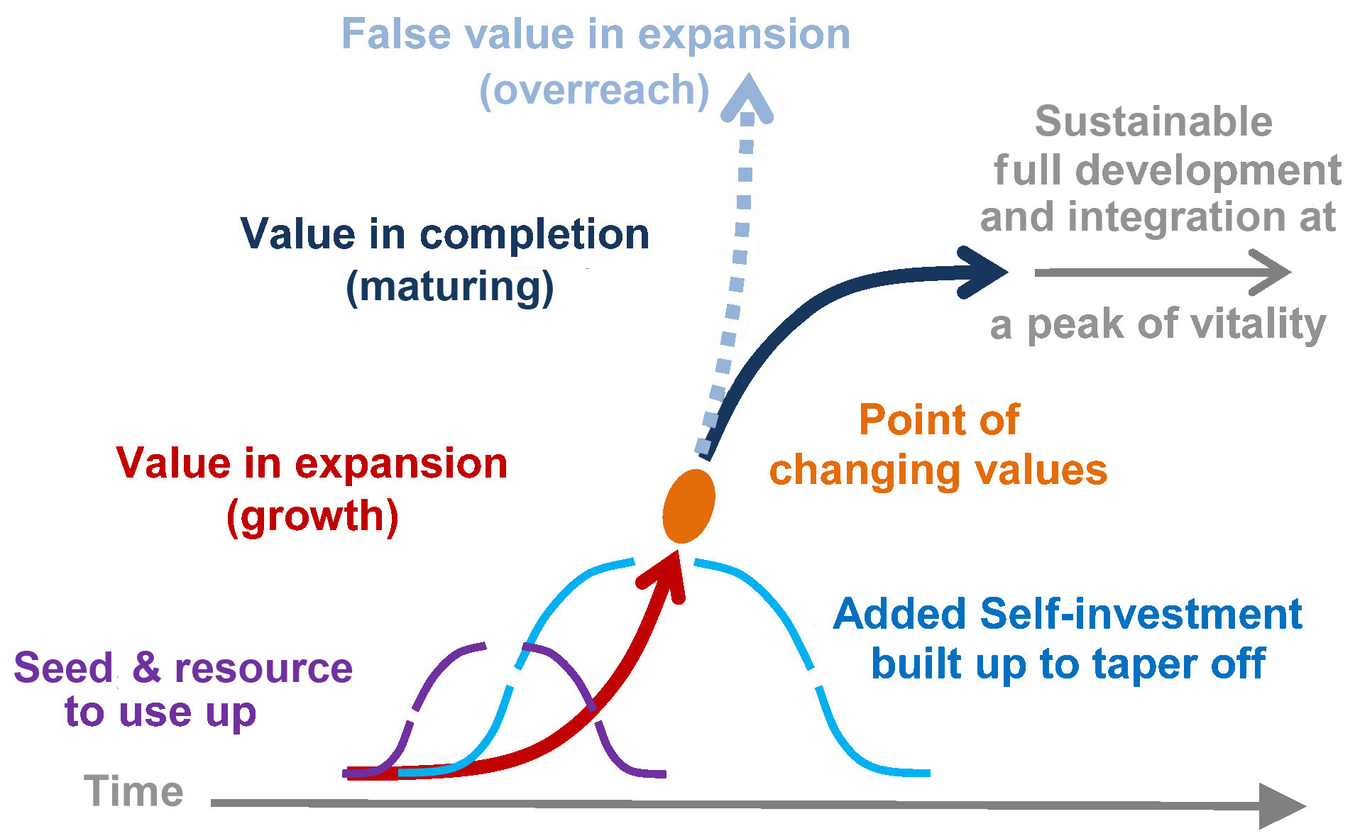 time as the fifth dimension of organization