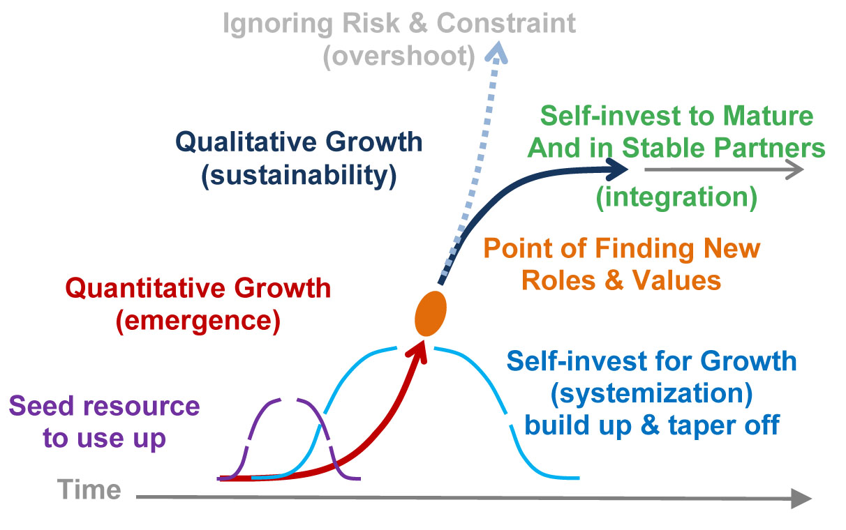 succession from Quantitative to Qualitative growth